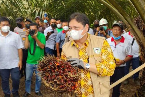 Namun Airlangga masih terlihat ragu. Ia hanya menjawab akan segera menyampaikan aspirasi tersebut. Langkah itu berbanding terbalik dengan Ketua Umum PKB, yang terang-terangan mengusulkan Pemilu dan Pilpres ditunda. 