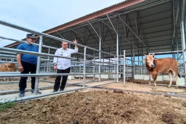 &nbsp;BPTU HPT Indrapuri harus memiliki peta/road map penyebaran bibit sapi di Aceh.