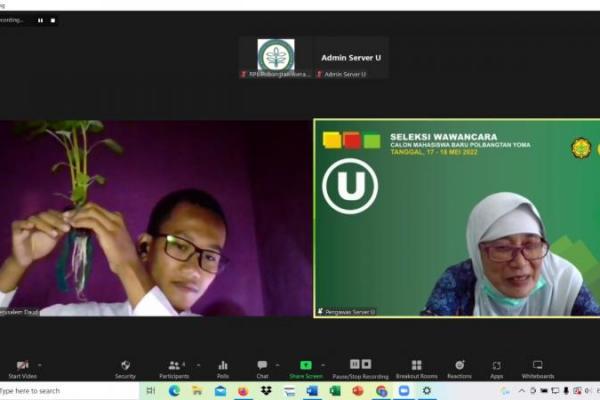 Jaring milenial berkualitas, Kementan selenggarakan wawancara PMB virtual
&nbsp;