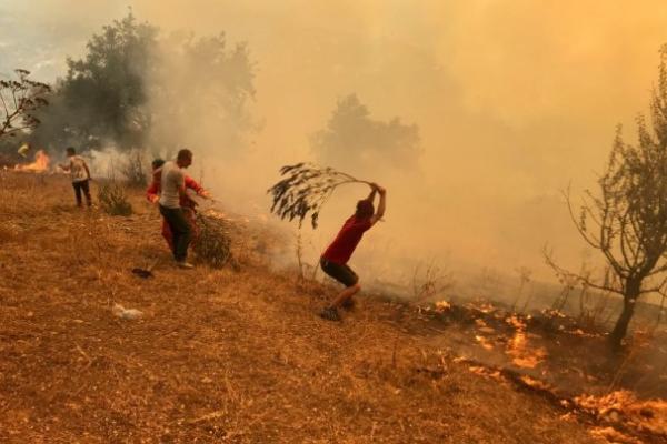 Di tengah meningkatnya frekuensi kebakaran hutan akibat perubahan iklim, para ilmuwan mengimbau masyarakat untuk lebih waspada terhadap bahaya asap