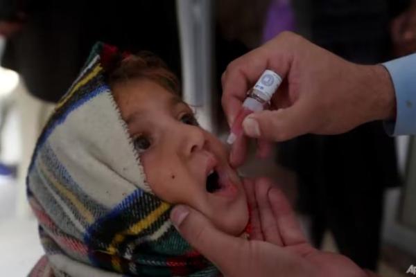 WHO Temukan Virus Polio dari Spesimen Tinja Anak Sehat di Papua Nugini