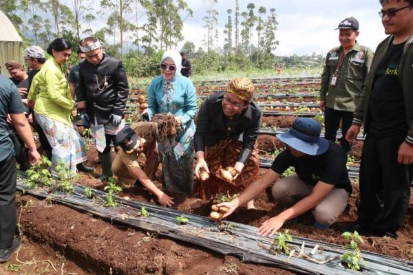 BUM Desa Ekspor ke Singapura, Gus Halim: Desa butuh jaringan pemasaran produk
