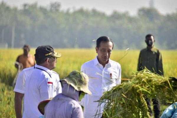 Presiden Jokowi mengingatkan pentingnya tetap menjaga keseimbangan harga gabah dan beras di tingkat petani, pedagang, dan masyarakat agar sama-sama tidak ada yang dirugikan.&nbsp;