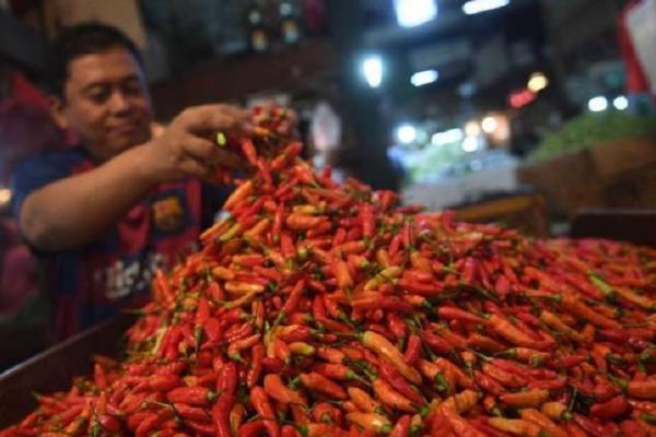 PIHPS: Harga Cabai Rawit Capai Rp61.450 per Kg