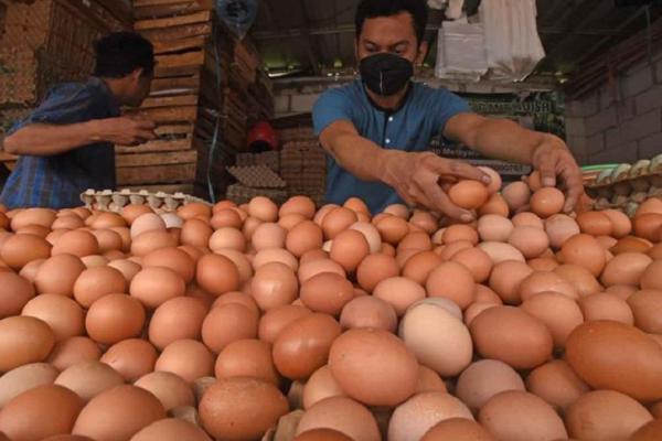 PIHPS mencatat bahwaa harga pangan komoditas telur ayam ras Rp29.650 per kilogram (kg), sedangkan bawang merah Rp40.450 per kg.