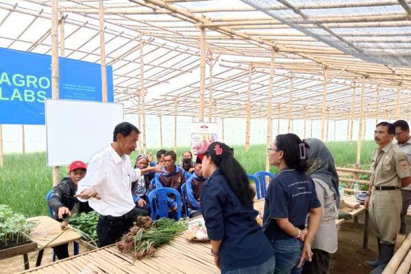 TSS dan Soil Block Seedling, strategi amankan ketersediaan bawang merah nasional