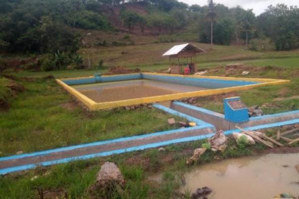 Hadapi El Nino, Mentan SYL Minta Jajaranya Dampingi Para Petani di Lapangan