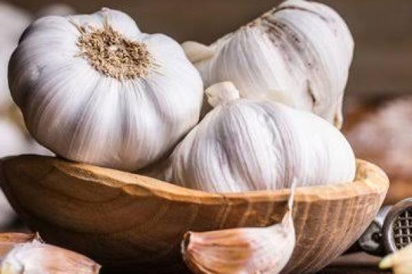 &nbsp;Siapa sangka, bahan dapur sederhana seperti bawang putih mentah menyimpan khasiat luar biasa bagi kesehatan tubuh?