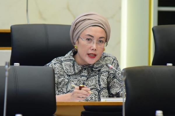 Anggota Pansus Hak Angket Haji DPR RI Selly Andrriany Gantina menilai pelayanan pelaksanaan haji 2024 tidak sesuai dengan tagline Kementerian Agama (Kemenag) yaitu haji &lsquo;ramah lansia&rsquo;.
