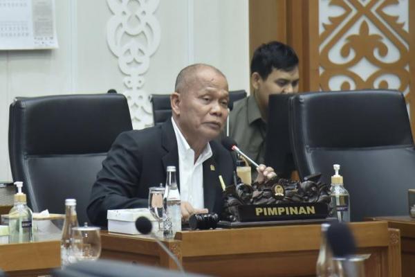 Wakil Ketua Badan Legislasi (Baleg) DPR RI Sturman Panjaitan menegaskan keberadaan RUU SDI sangat krusial sebagai fondasi utama tata kelola data bangsa.