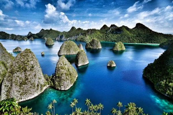 Warinussy menepis keras pernyataan Bahlil yang mengisyaratkan bahwa penyelesaian kasus ini sebaiknya dilakukan secara adat