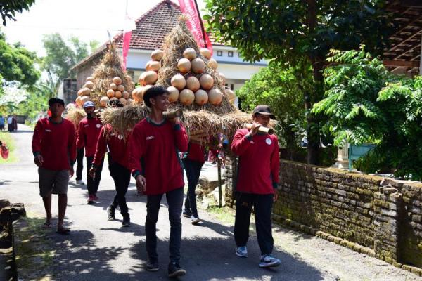 Lebih dari 1.000 Petani Panen Melon Davina F1 i Nganjuk. Ini sebagai simbol kebangkitan pertanian hortikultura