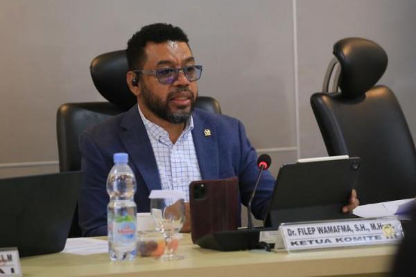 Saya yakin talenta Papua potensial untuk dididik menjadi profesional dan nantinya berkarir sampai posisi senior. Dan juga banyak talenta Papua profesional dan berpengalaman yang bisa match dengan kualifikasi yang ada.