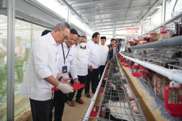 Karena sekarang lagi musim kering, musim peceklik, harga mulai sedikit-sedikit naik. Oleh karena itu pemerintah mengambil langkah untuk menghadapi kondisi terse