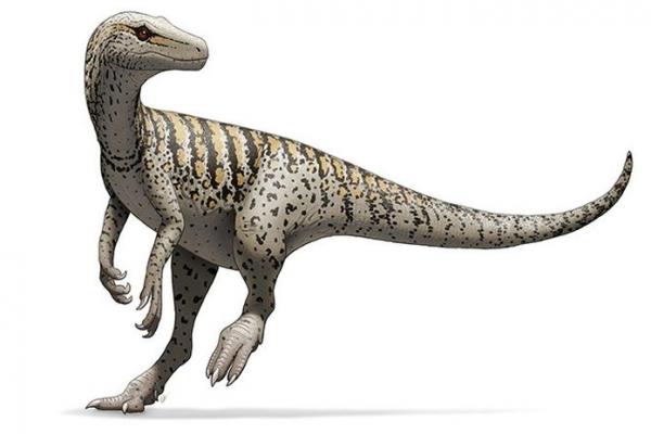 Para ilmuwan menemukan fosil reptil kuno bernama Gondwanax paraisensis yang bisa jadi adalah salah satu leluhur dinosaurus paling awal.