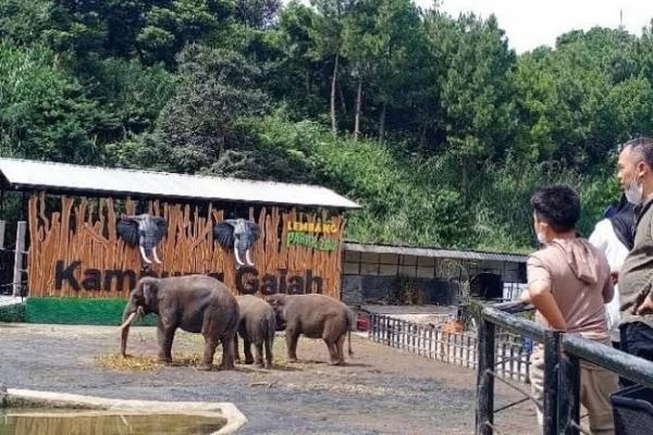 Berikut ini beberapa tempat wisata ramah anak di Bandung yang dapat menjadi pilihan untuk mengisi waktu liburan bersama keluarga