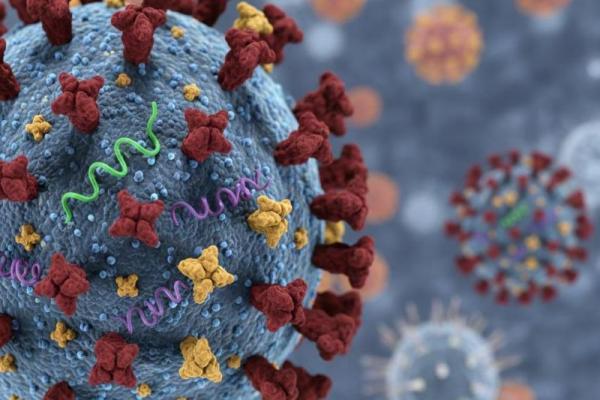 Kemenkes memastikan situasi influenza A(H3N2) subclade K atau `Super Flu` di Indonesia hingga akhir Desember 2025 masih dalam kondisi terkendali.