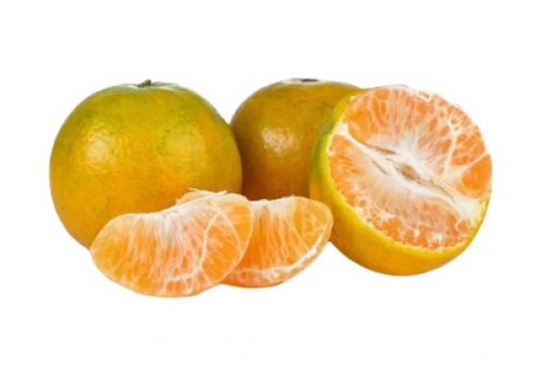Berikut enam makanan yang dikenal efektif dalam menjaga daya tahan tubuh.