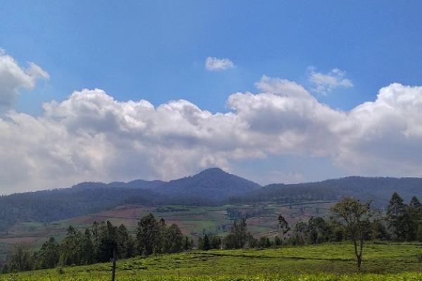 Gunung Malabar merupakan salah satu gunung berapi tua yang terletak di Kabupaten Bandung, Jawa Barat