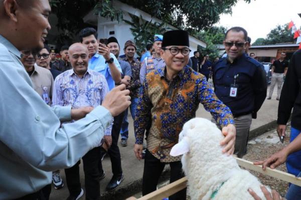 Ruang lingkup MoU Kemendes PDT dan Kurma Adzwa Farm meliputi pemberdayaan masyarakat dalam rangka pengembangan peternakan domba