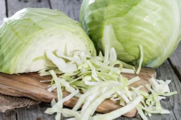 Kubis atau kol sering dianggap sebagai sayuran sederhana yang mudah ditemukan di dapur masyarakat.