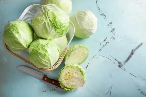 Secara umum, kubis termasuk sayuran rendah kalori namun padat nutrisi.