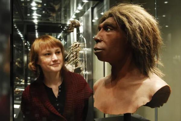Studi terbaru mengungkap bahwa kawin silang di masa prasejarah lebih sering terjadi antara pria Neanderthal dan perempuan Homo sapiens