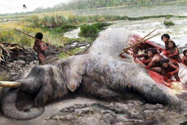 Sebuah temuan arkeologi terbaru mengungkap bukti paling meyakinkan sejauh ini bahwa manusia purba Neanderthal mampu memburu gajah raksasa pada Zaman Es