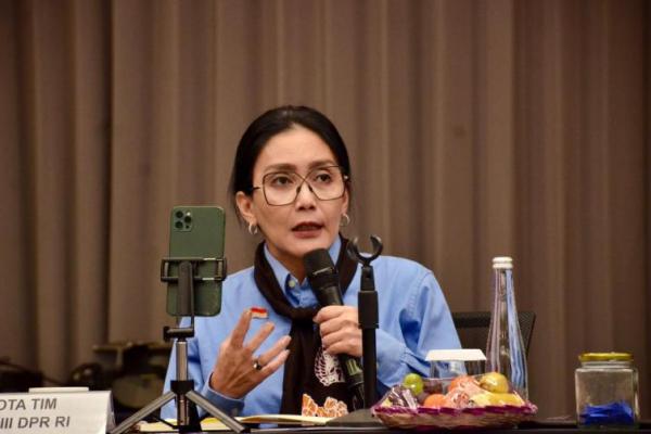 Anggota Komisi XIII DPR RI, Rieke Diah Pitaloka mendesak pemerintah untuk memberikan dukungan anggaran yang layak bagi Komnas Perempuan.