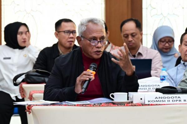 Kalau tidak, ya DPR harus yang menindaklanjuti. Kan kemarin jelas putusan MK-nya. Mereka karena memprosesnya sudah melewati waktu, ini urusan lembaga lain.