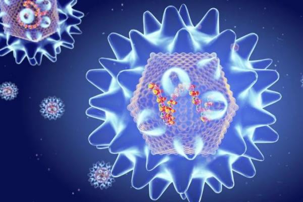 Kementerian Kesehatan Venezuela mengkonfirmasi tiga kematian pasien yang terinfeksi hantavirus di Negara Bagian Anzoategui