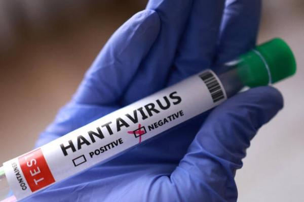 Organisasi Kesehatan Dunia (WHO) menyatakan bahwa risiko penularan strain virus hanta terhadap masyarakat umum tergolong rendah.
