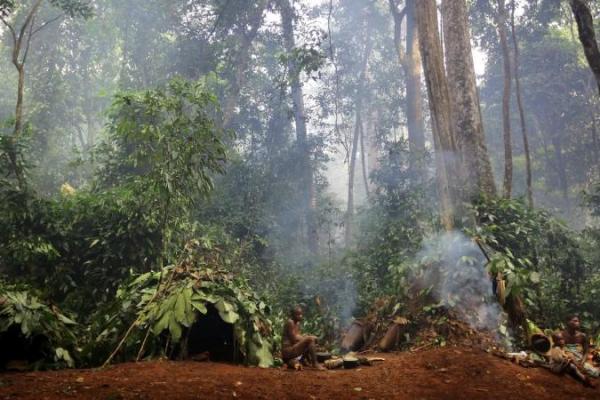 Penemuan terbaru menunjukkan manusia modern atau Homo sapiens kemungkinan telah hidup di hutan hujan sejak ratusan ribu tahun lalu
