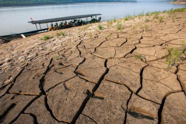 Penelitian terbaru mengungkap bahwa kondisi kering akibat fenomena El Nino membuat tanah Amazon kehilangan kemampuan alaminya menyerap gas isoprena (isoprene)