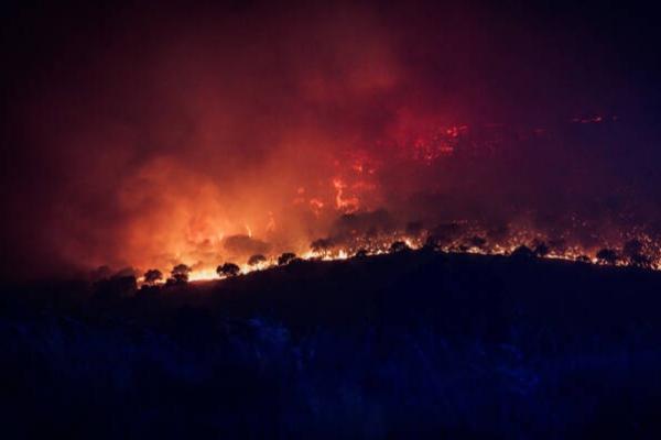 Spanyol Catat Lebih dari 121.000 Warga Terdampak Kebakaran Hutan
