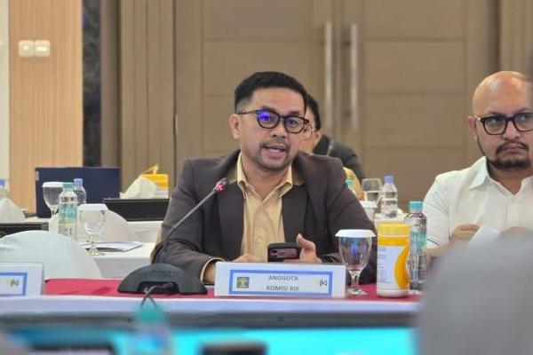 Marinus Gea Usul Indonesia Segera Miliki Undang-Undang tentang AI