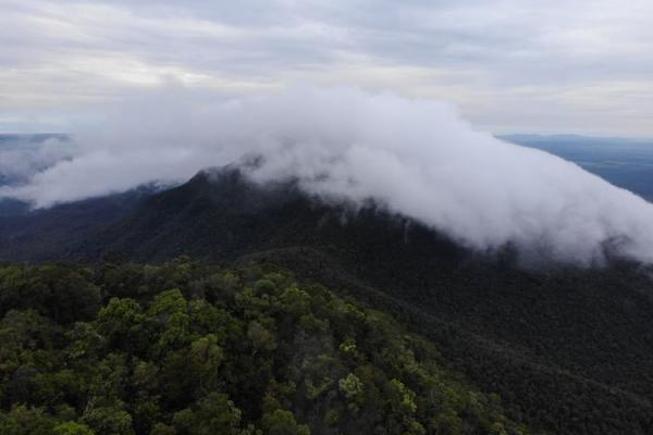 Keistimewaan TN Gunung Maras tidak hanya terletak pada panorama pegunungannya. Kawasan ini juga memiliki bentang alam yang lengkap