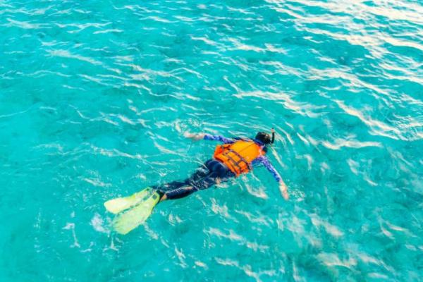 Setiap tanggal 30 Juli, para pecinta aktivitas bahari dan pegiat lingkungan laut memperingati Hari Snorkeling Sedunia (World Snorkeling Day).