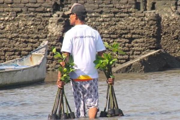 Rehabilitasi Mangrove, BNI Komitmen Dukung Pelestarian Ekosistem Pesisir
