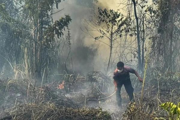 Persoalan ini telah berulang kali menjadi perhatian pemerintah dan masyarakat sipil, namun karhutla kembali terjadi dalam skala luas