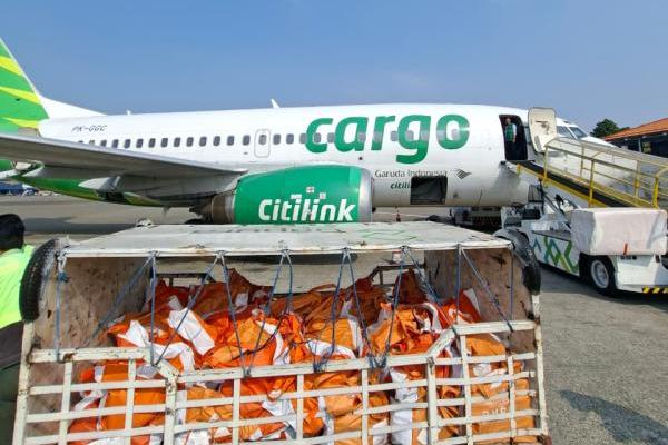 Pendistribusian bantuan dilakukan menggunakan armada Boeing 737-500 dengan konfigurasi Freighter.