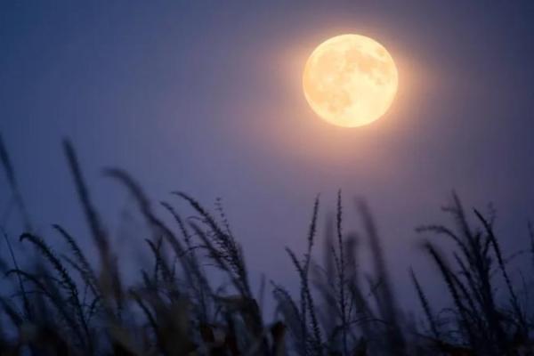 Bulan purnama September 2026 yang dikenal sebagai Harvest Moon akan mencapai fase purnama pada Sabtu, 26 September 2026