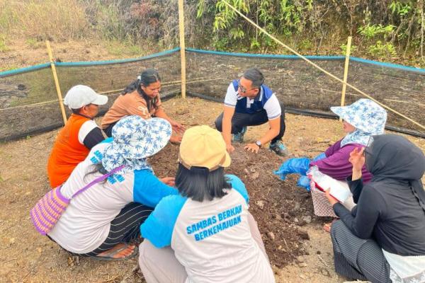 "Di sini tanahnya kering, kuning berbatu, tidak ada air. Bukannya kami tidak mau menanam sayur, tetapi susah karena tanaman gampang mati