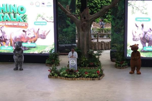 Kehamilan dua bayi badak Sumatera ini bukan hanya kabar baik bagi Indonesia, tetapi juga bagi dunia