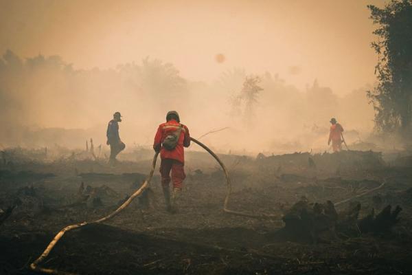 Di enam provinsi prioritas penanganan karhutla, jumlah hotspot bahkan naik dari 172 menjadi 446 titik