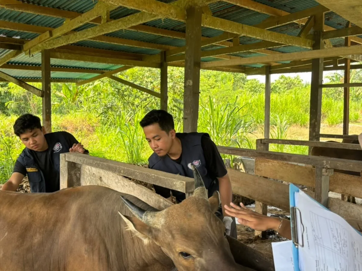 Posyandu Ternak Keliling ini sangat membantu kami sebagai peternak. Kami bisa memeriksakan kesehatan sapi dan mendapatkan obat cacing secara gratis, tanpa mengeluarkan biaya.