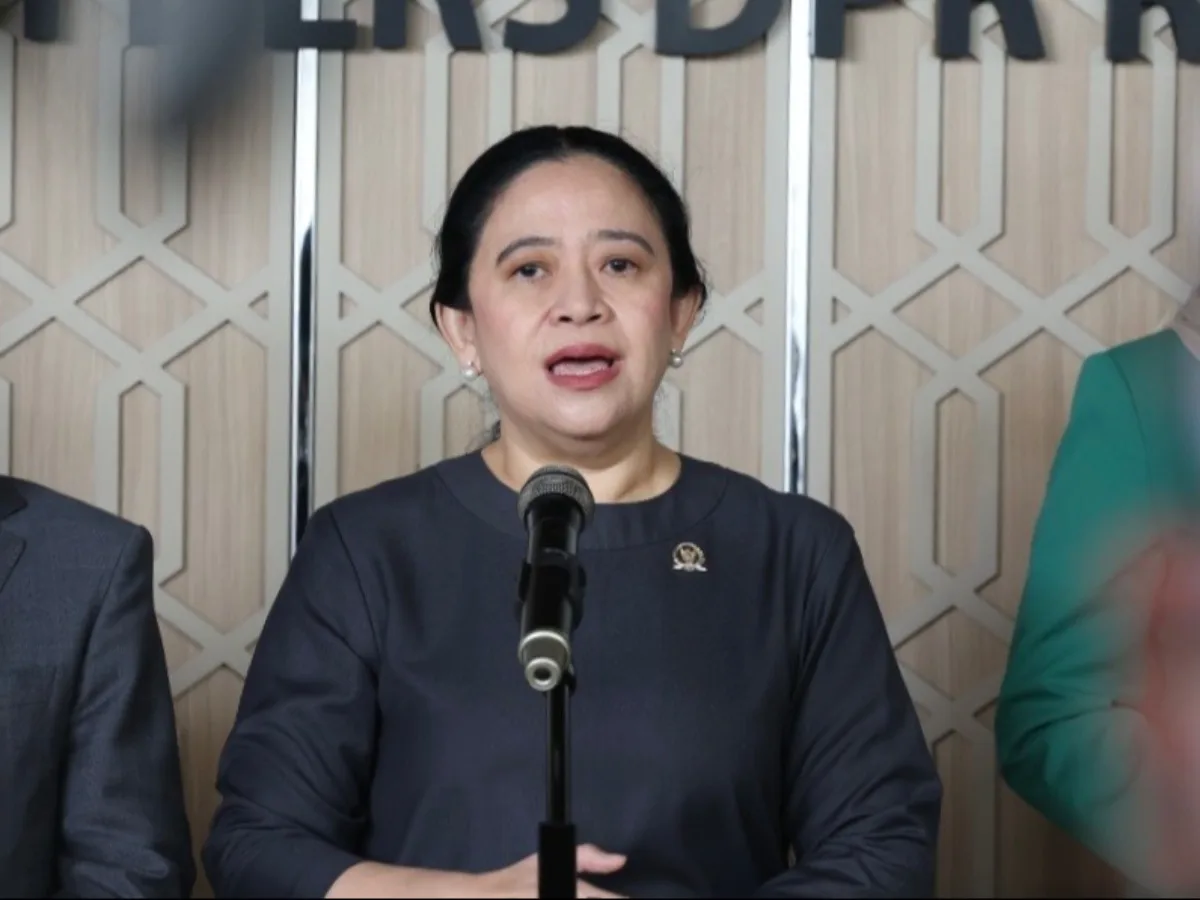 Puan Maharani Minta Penegakan Hukum Tersangka Karhutla Transparan